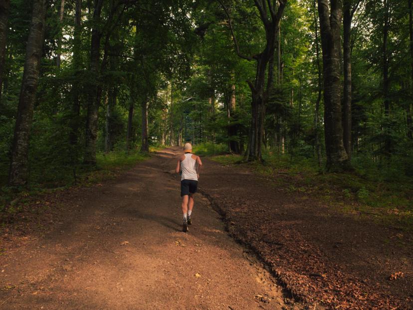 Parcours interactifs
